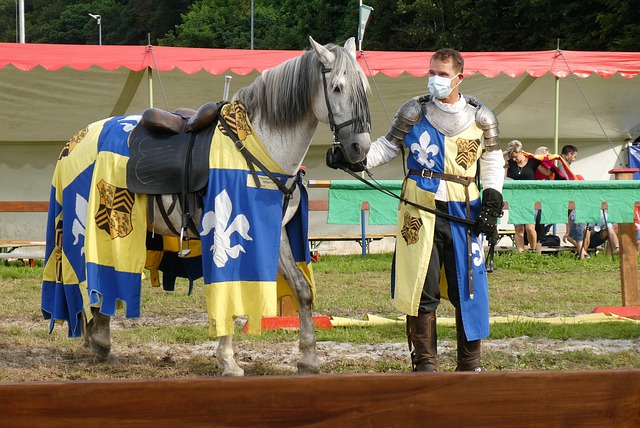 房车赛事C 房车赛事C