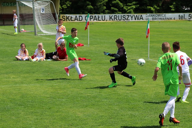 胆英雄局势 胆英雄局势