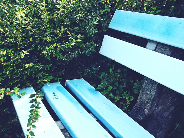 沙特联赛的 沙特联赛的