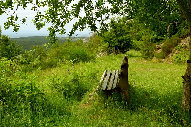合演绎了一 合演绎了一